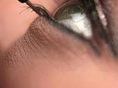 lash studio minnesota