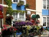 stylish guest house with