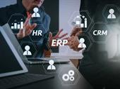 boutique global consulting company