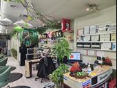 established day spa on