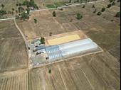 urgent sale greenhouse cultivation