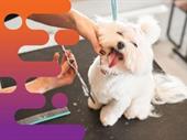 35658 well-established mobile dog
