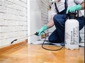 highly successful carpet cleaning