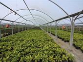 west sussex nursery premises