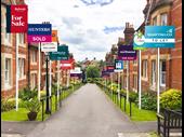 lettings agency east anglia