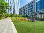 established commercial landscaping business