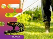 36015 established profitable lawn