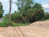 land for sale wang