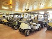 thriving golf car dealership