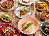 well-established indian restaurant carrollton