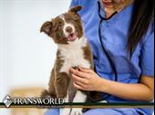 great opportunity mobile vet
