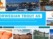 seafood import tourism industry