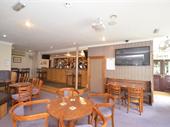 unique freehold bar restaurant