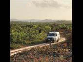 established profitable 4wd rust