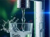 high-growth wellness beverage business