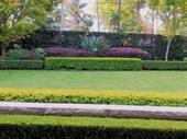 garden maintenance services commercial