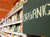organic healthy food grocery
