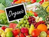 organic food store easy