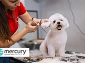 long-established dog grooming business