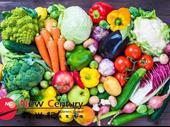 fruit veg mitcham 1p10458