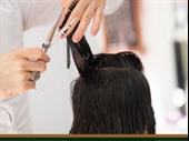 thriving salon business sedgwick