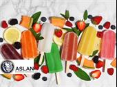 ice-cream manufacturing business for