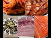 seafood distribution 3 days
