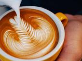 five day franchise cafe