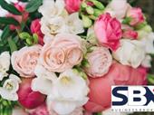 retail florist gifts florist