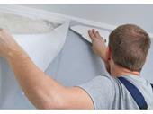 premier specialty wallcovering installation