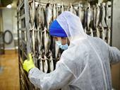 seafood processing distribution company