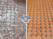 tile grout repair business