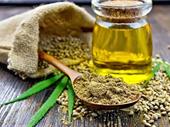 established cbd hemp store