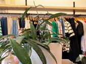 fashion boutique flexible lifestyle