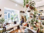 upscale florist home decor