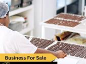 premium artisan chocolate business
