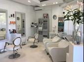 well established hair dressing