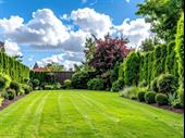 established commercial lawn service