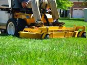 established lawncare company 67