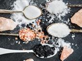 salt production distribution company
