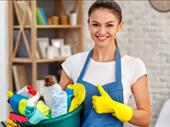 established residential cleaning franchise