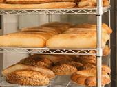 bakery food manufacturing business