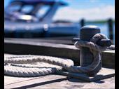 premium marine retail business