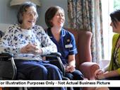 established home healthcare business