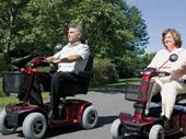 importers wholesale distributors suppliers