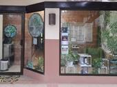 alternative healing spa tamarindo