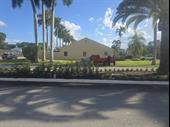 landscaping tree trimming pest