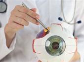 established ophthalmology practice palm