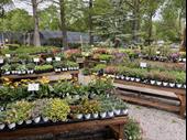 texoma retail commercial garden