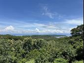 ocean view lot jungle